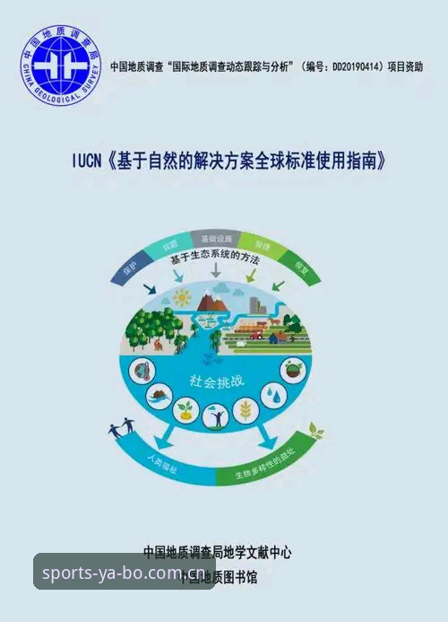 yabo体育平台专业数据使用指南：常见问题与完整解决方案